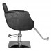 Hairdressing Chair HAIR SYSTEM SM376 black